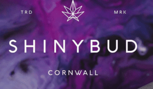 Shiny Bud Cannabis Store Cornwall