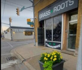 Grassroots Cannabis – Windsor