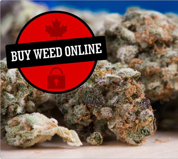 Find a Legal Online Dispensary in Canada